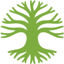 A green tree, a favicon for A Wealth of Nature