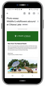 A mobile device showing a weekly newsletter from A Wealth of Nature